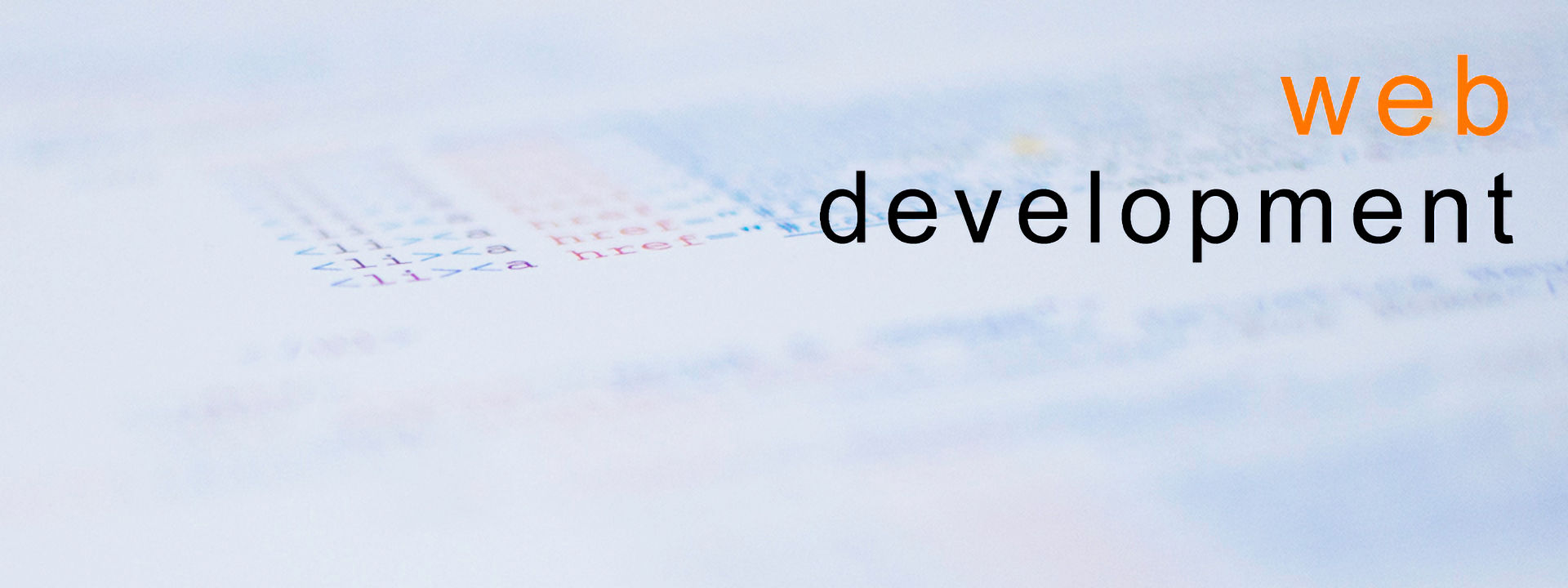 software development services